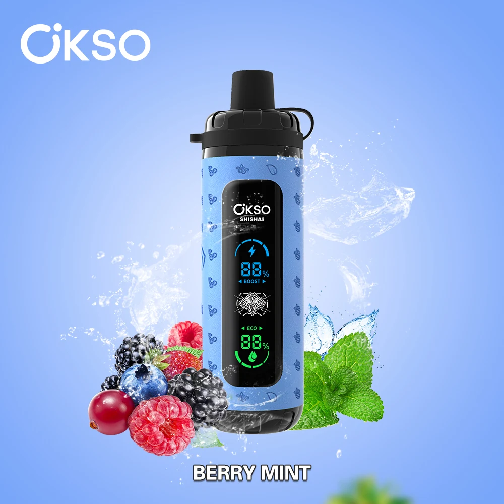 OKSO Shisha Max 40000 Einweg Vape in Blau mit Beeren und Minze